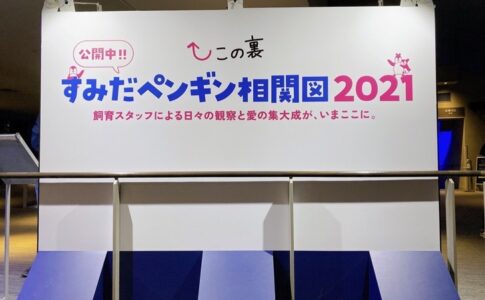 こんなにお得でいいの すみだ水族館の年間パスポートの特典 魅力を徹底解説 スカなび